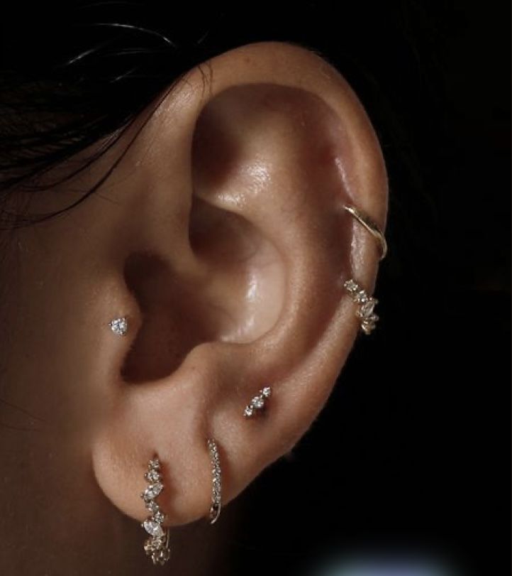 Exotic ear piercings